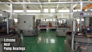 Rodamientos de bombas para temperaturas extremas Carburo de silicio