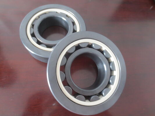 Ceramic Cylindrical Roller Bearings Single Row with Si3N4 Material and PEEK Cage for High Temperature Resistance