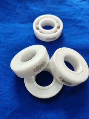 6004 6005 Rodamiento de bolas cerámico completo con ZrO2 Anillos y bolas PTFE Jaula y sellos P6/P5 Precisión de grado