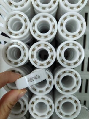6004 6005 Full Ceramic Ball Bearing with ZrO2 Rings and Balls PTFE Cage and Seals P6/P5 Grade Precision